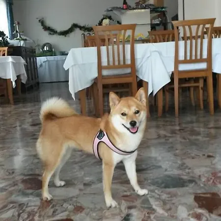 Nuova Flavia ホテル